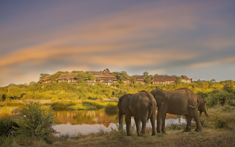 Elephants in front of Victoria Falls Safari Lodge