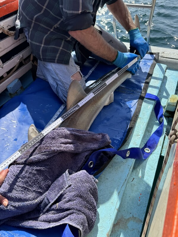 {MEDIA GALLERY DEFAULT}