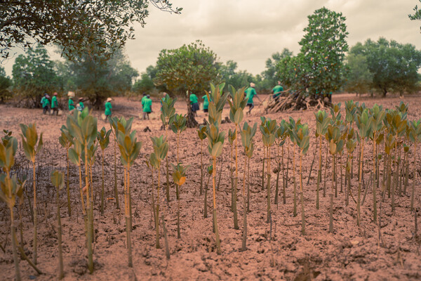 {MEDIA GALLERY DEFAULT}