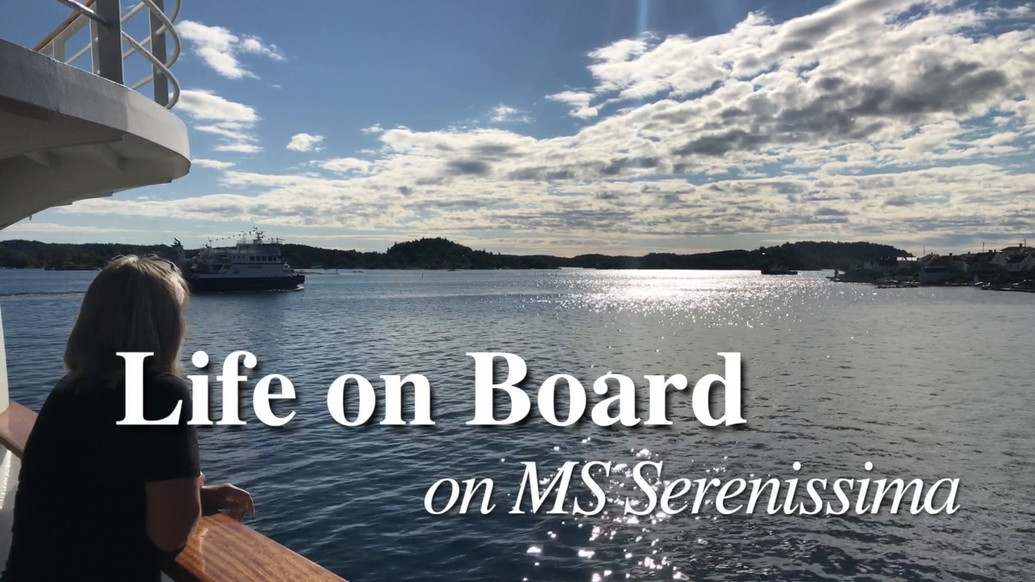 {MEDIA GALLERY VIDEO}