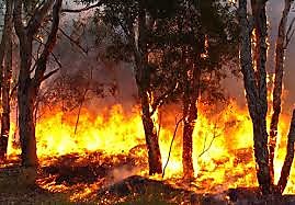 Victoria Bushfires