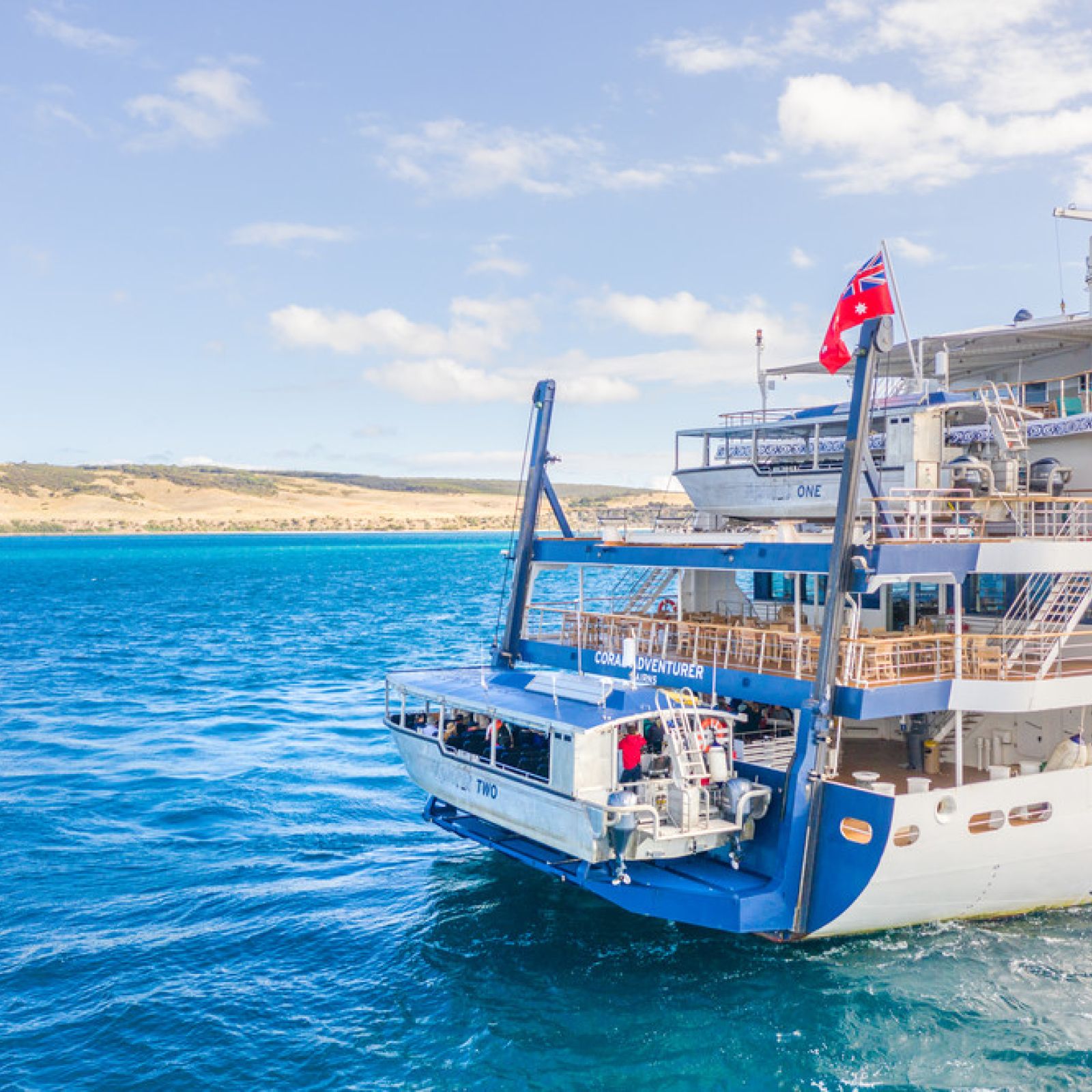 Coral Adventurer 15