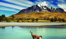 Christmas & New Year in the Chilean Fjords & Antarctica