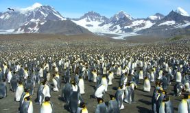 Antarctica & the Total Solar Eclipse