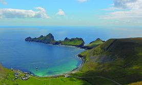 Birds & Blooms of Britain