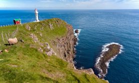 Midsummer in Iceland