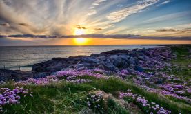 Hebridean Island Odyssey