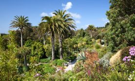 The Best of British - 30th Anniversary Cruise