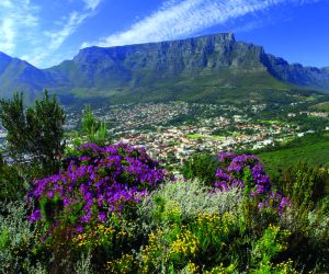 Table Mountain, Cape Town