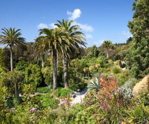 Abbey Gardens, Tresco