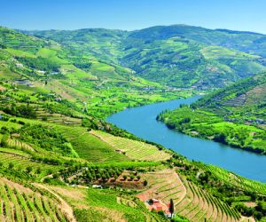 Vineyards of the Douro Valley