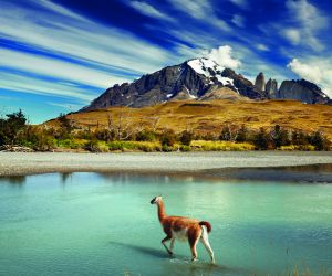 Torres del Paine