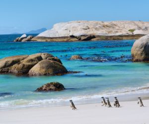 Boulders Beach