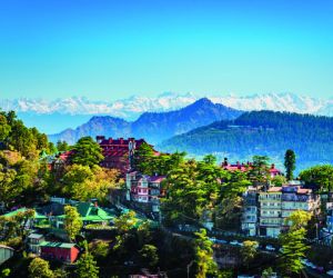 Shimla