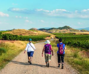 Walking the Camino de Santiago