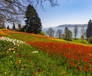 Flower Island of Mainau