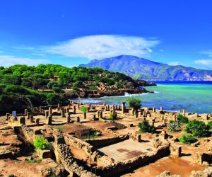 Tipaza