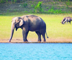 Periyar National Park