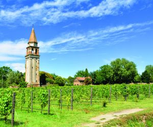 Venissa Estate, Mazzorbo