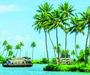 Kerala backwaters