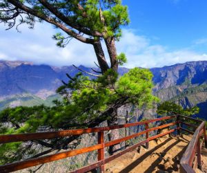 Taburiente National Park