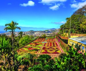 Botanical Gardens, Funchal