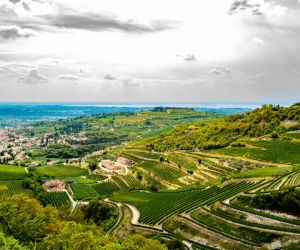 Valpolicella