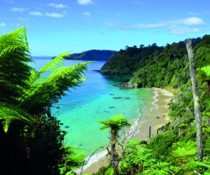 Stewart Island