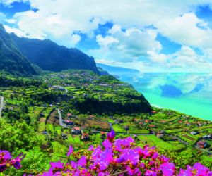 Madeira Coastine