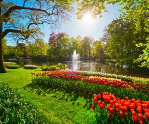 Keukenhof Gardens