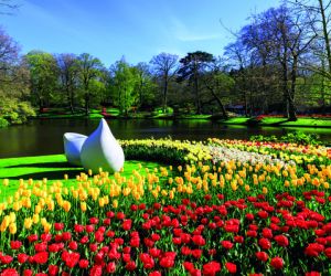 Keukenhof Gardens