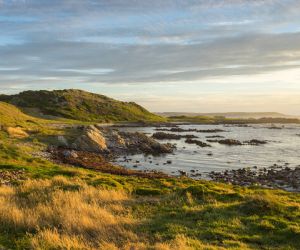 King Island