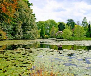 Altamont Gardens