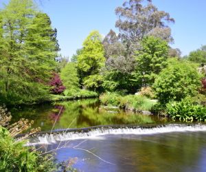 Mount Usher