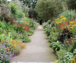 Kilmacurragh Botanic Garden