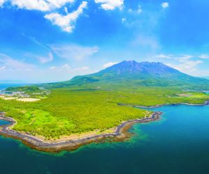 Yakushima island