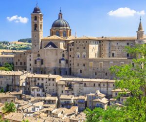 Urbino