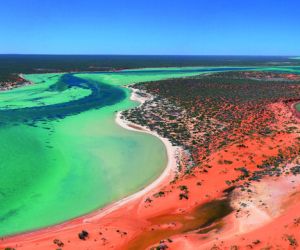 Shark Bay