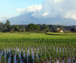 Bukittinggi