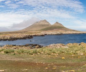 Falkland Islands