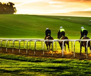 The Gallops, Warren Hill, Newmarket