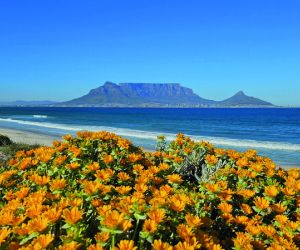 Table Mountain, Cape Town