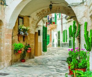 Bari