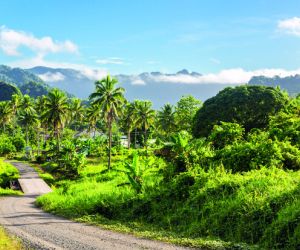 Ovalau, Levuka Island