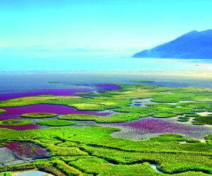 Suncheon Bay Wetland Reserve