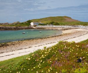 Bryher