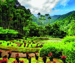 Balata Botanical Gardens, Fort de France