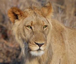 Hwange Game Reserve