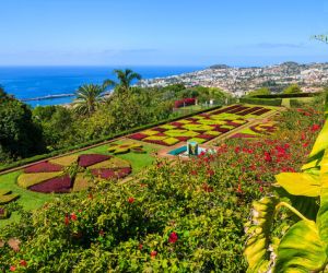 Funchal Botanical Gardens, Madeira