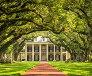 Oak Alley Plantation